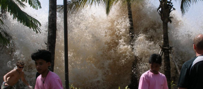 nadie se adapta a un tsunami martin parselis blog2
